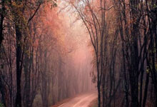 【原创】竞猜网竞彩足球推荐:周六007西甲-赫罗纳VS塞维利亚.