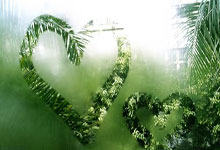 維爾茨:德甲豪強逐趕拜仁新格局 未來藍圖未定.