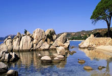 新华社消息|元旦到 一批新规护航新生活.